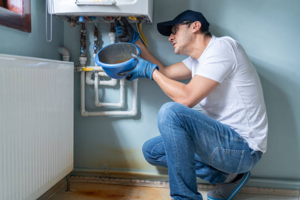 Best Commercial Plumbing Services  in Adrian, MN